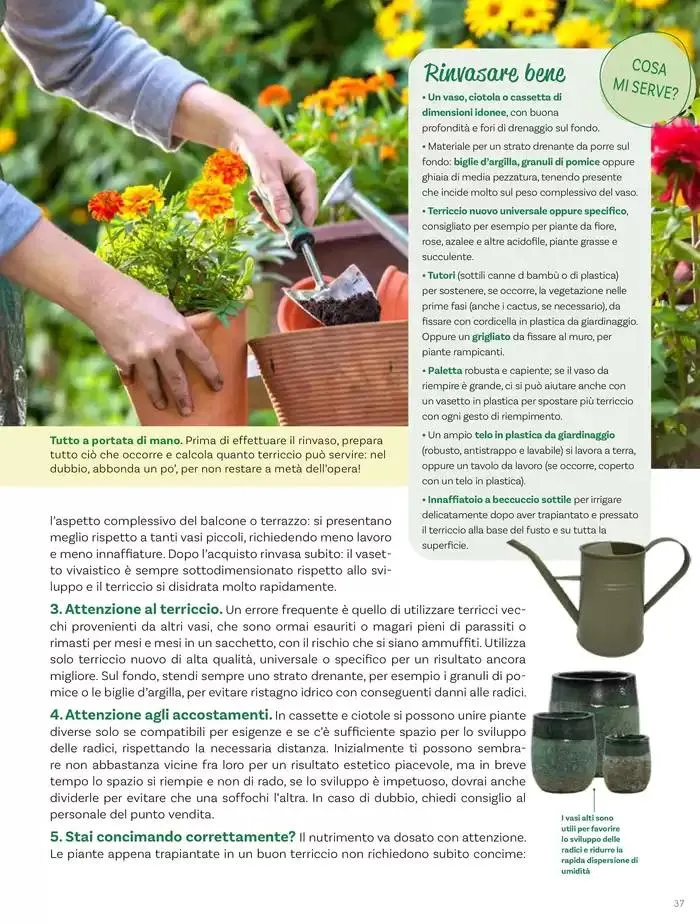 Idee per la vita all' aperto da 18 aprile a 18 maggio di 2025 - Pagina del volantino 37