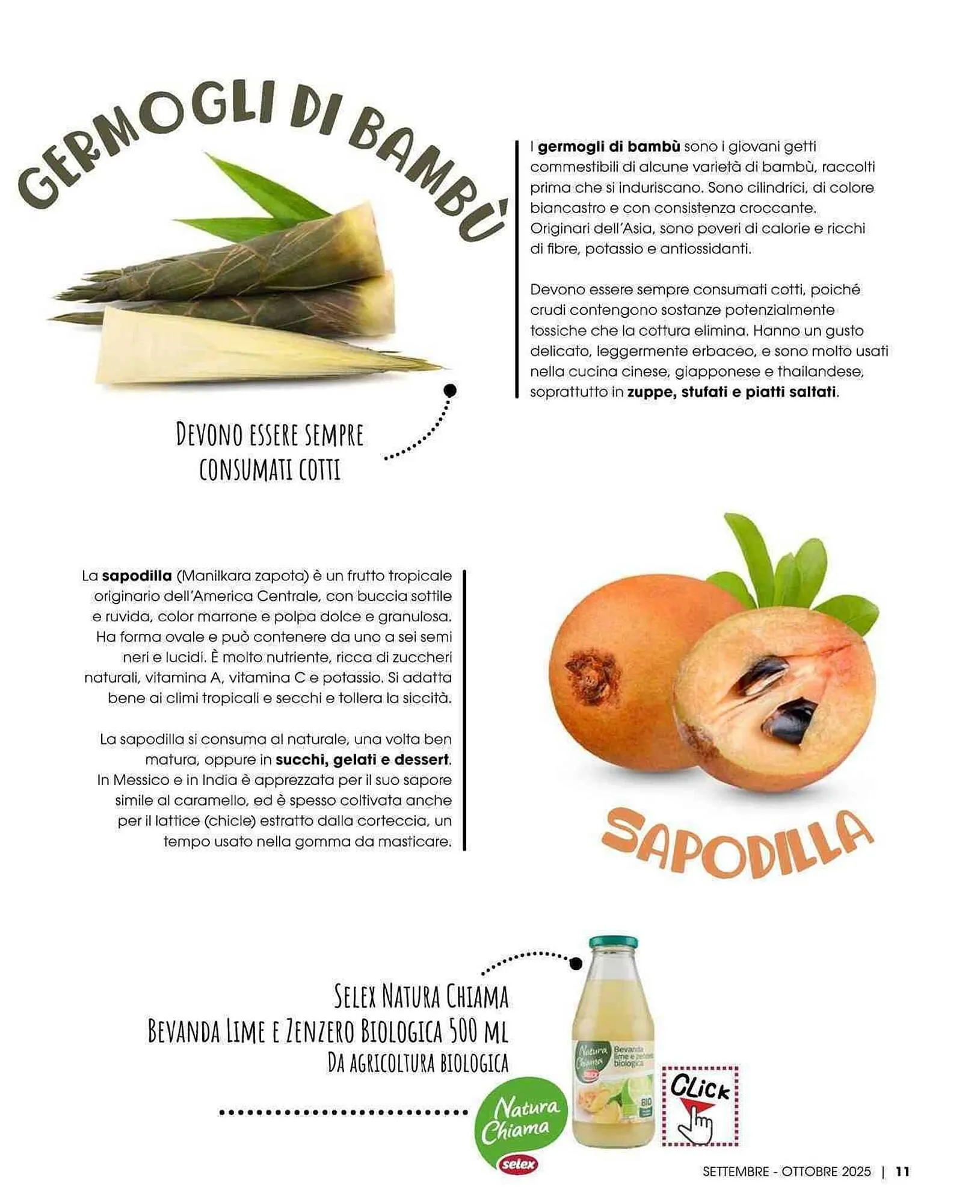 Volantino A&O da 1 settembre a 31 ottobre di 2025 - Pagina del volantino 12