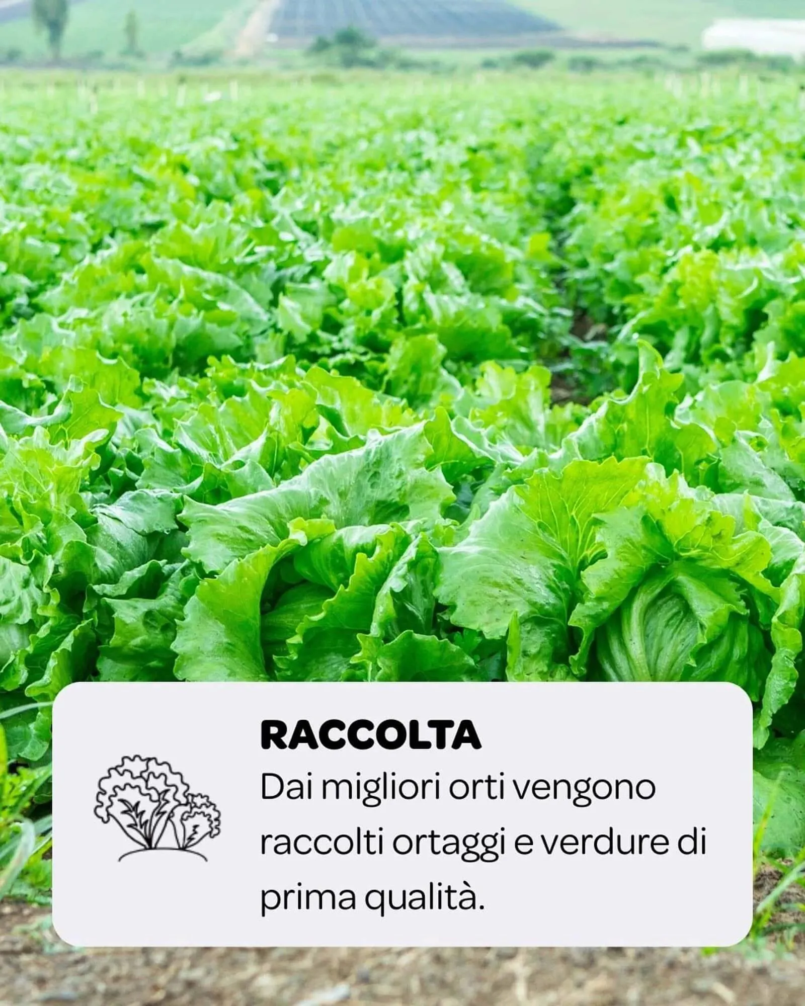 Volantino Ekom da 1 agosto a 7 agosto di 2025 - Pagina del volantino 2