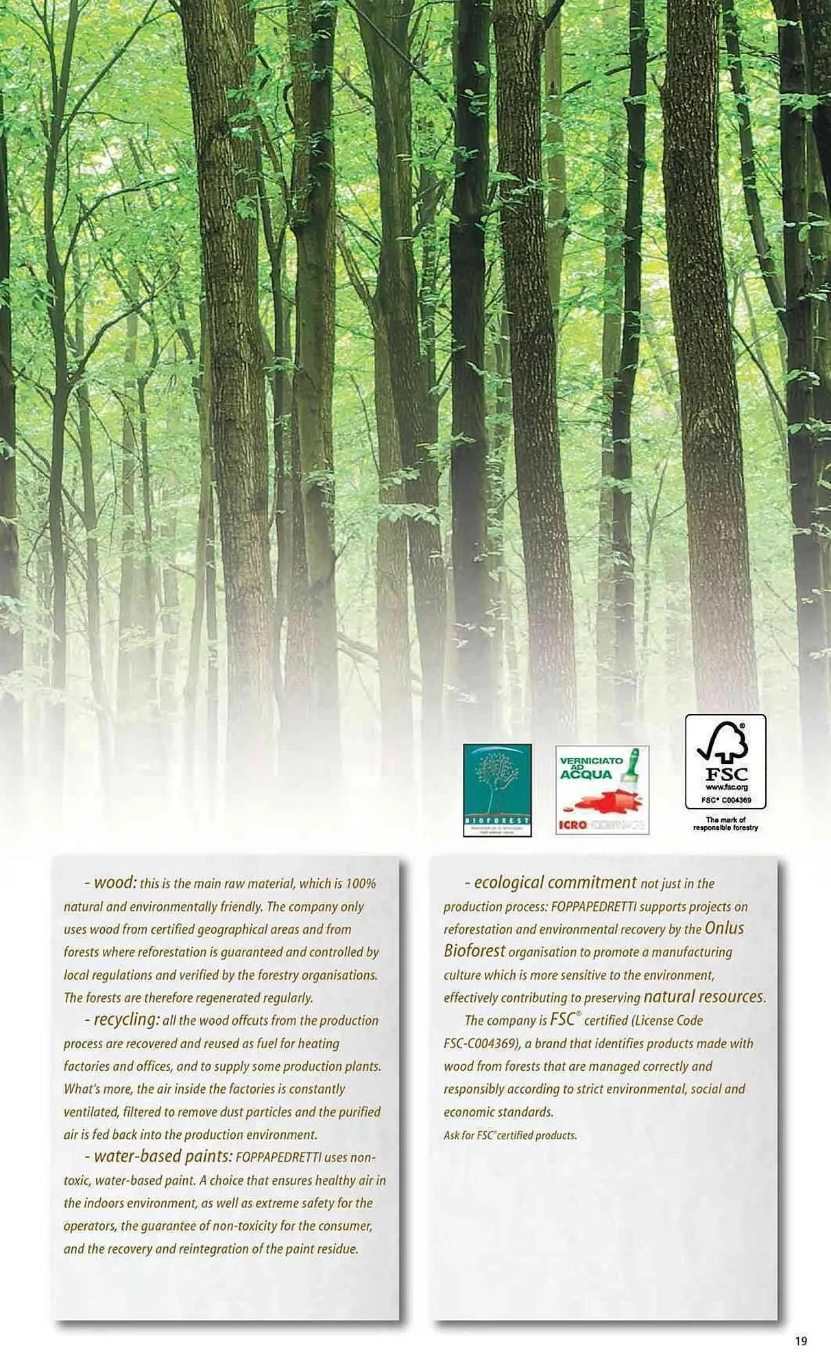 Volantino Foppapedretti da 26 gennaio a 31 dicembre di 2026 - Pagina del volantino 19