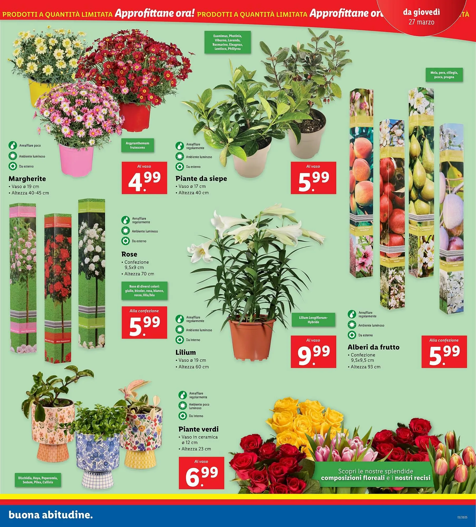 Volantino Lidl da 24 marzo a 30 marzo di 2025 - Pagina del volantino 31