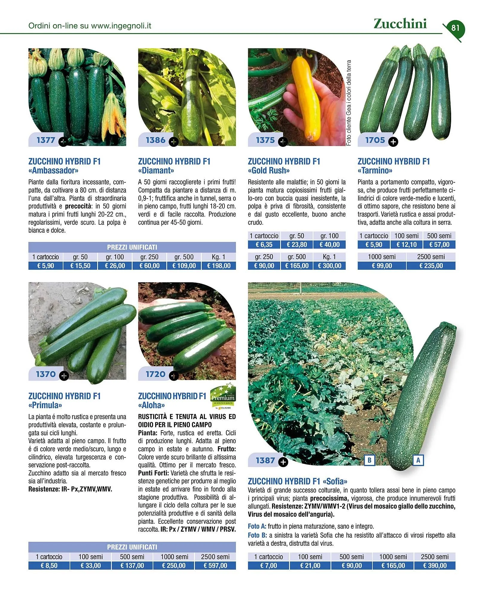 Volantino Ingegnoli da 4 novembre a 31 dicembre di 2025 - Pagina del volantino 83