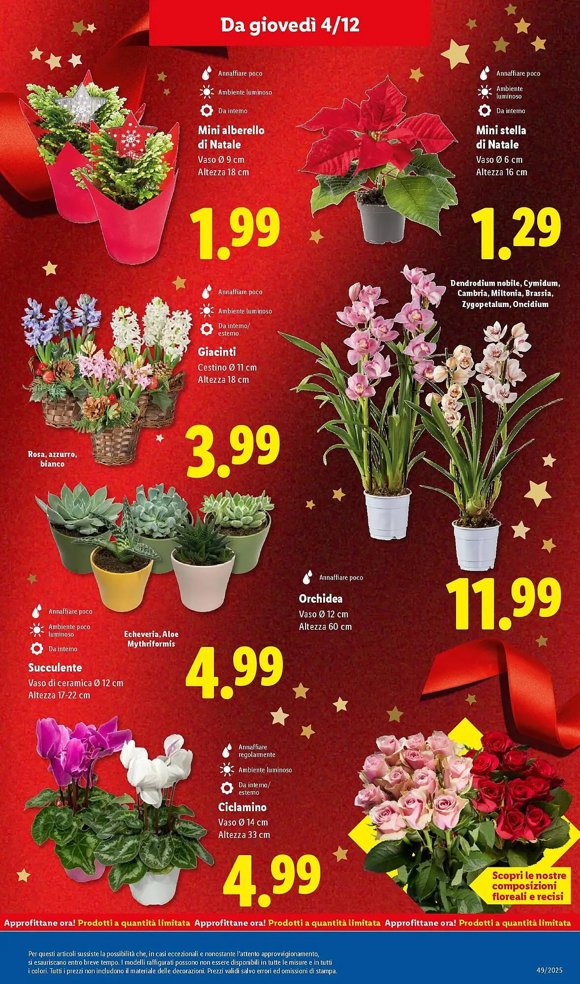 Volantino Lidl da 1 dicembre a 7 dicembre di 2025 - Pagina del volantino 47