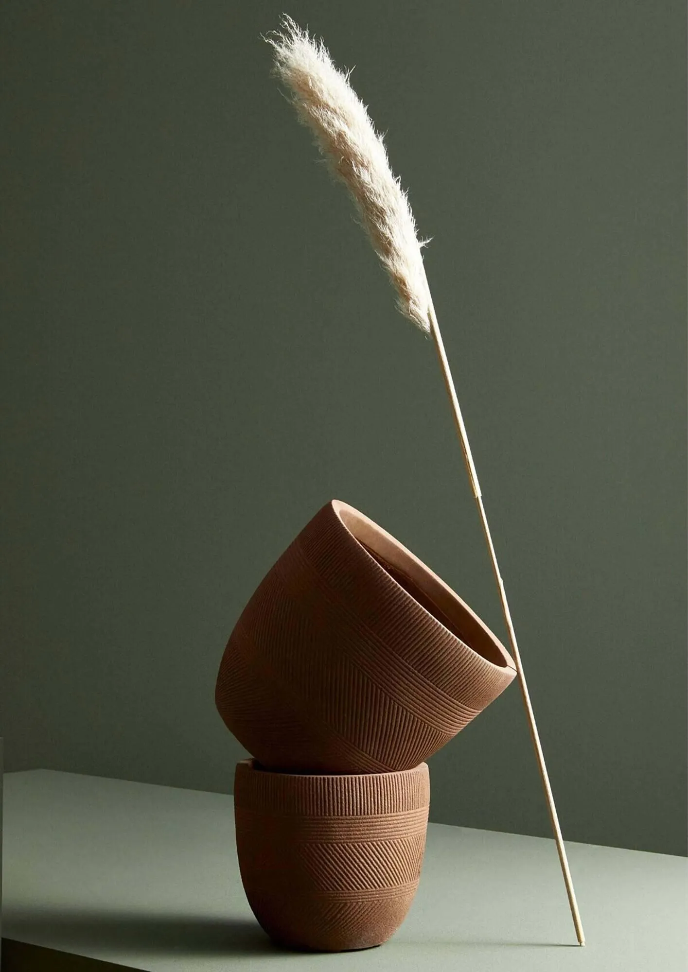 Volantino Bizzotto da 20 settembre a 28 dicembre di 2024 - Pagina del volantino 77