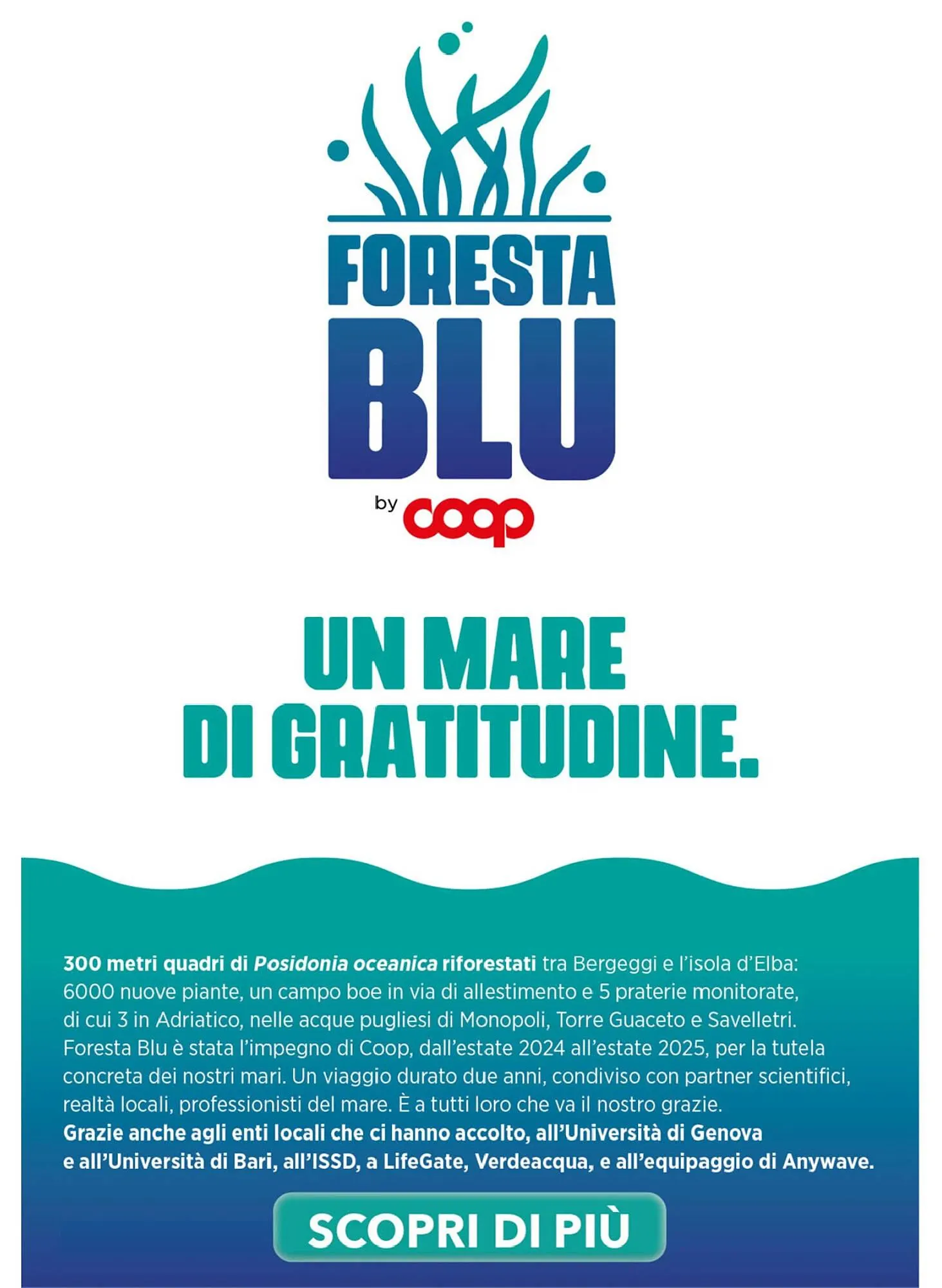 Volantino Ipercoop da 6 novembre a 24 dicembre di 2025 - Pagina del volantino 54