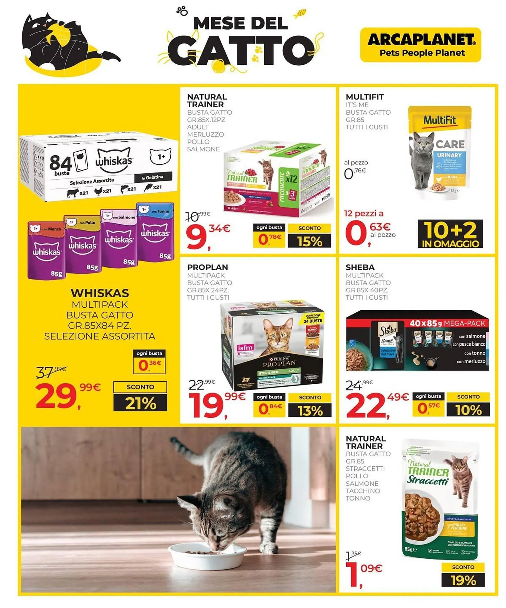 Volantino Arcaplanet da 16 febbraio a 28 febbraio di 2026 - Pagina del volantino 18