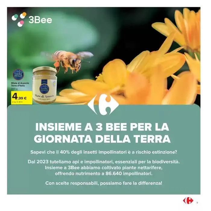 Sconti alla griglia da 22 aprile a 4 maggio di 2025 - Pagina del volantino 9