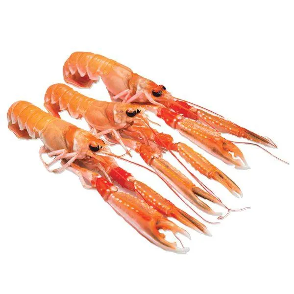 Scampi Interi 8/12 750 g
