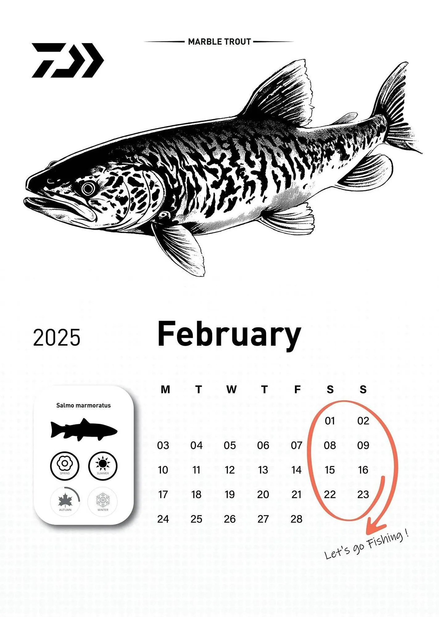 Volantino Daiwa da 6 dicembre a 31 dicembre di 2025 - Pagina del volantino 3