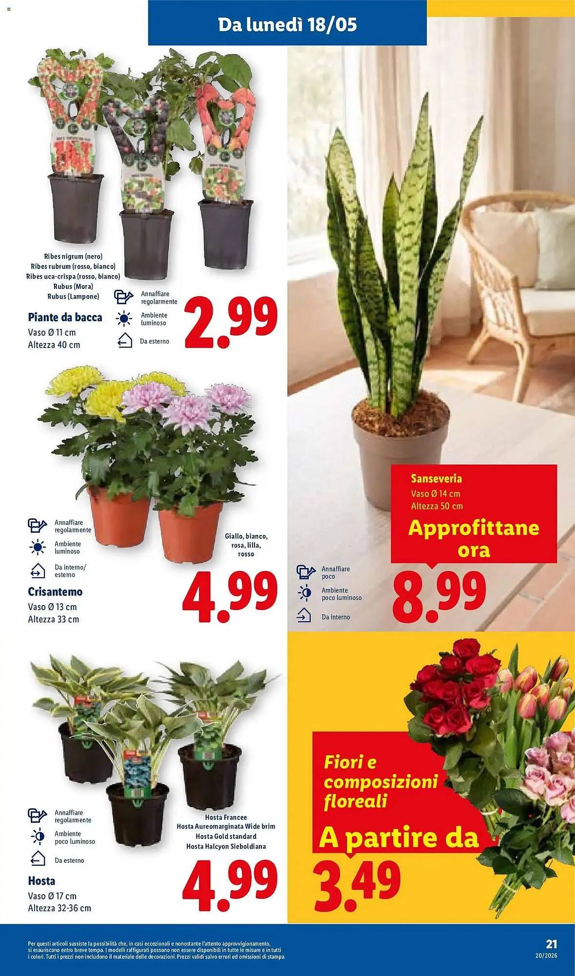 Volantino Lidl da 14 maggio a 20 maggio di 2026 - Pagina del volantino 29