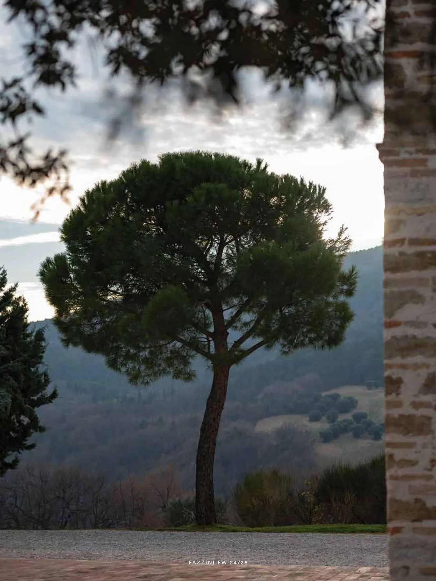 Volantino Fazzini da 21 ottobre a 31 dicembre di 2025 - Pagina del volantino 47