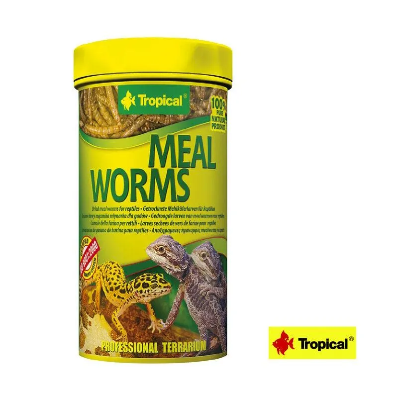 Tropical Meal Worms 100 ml