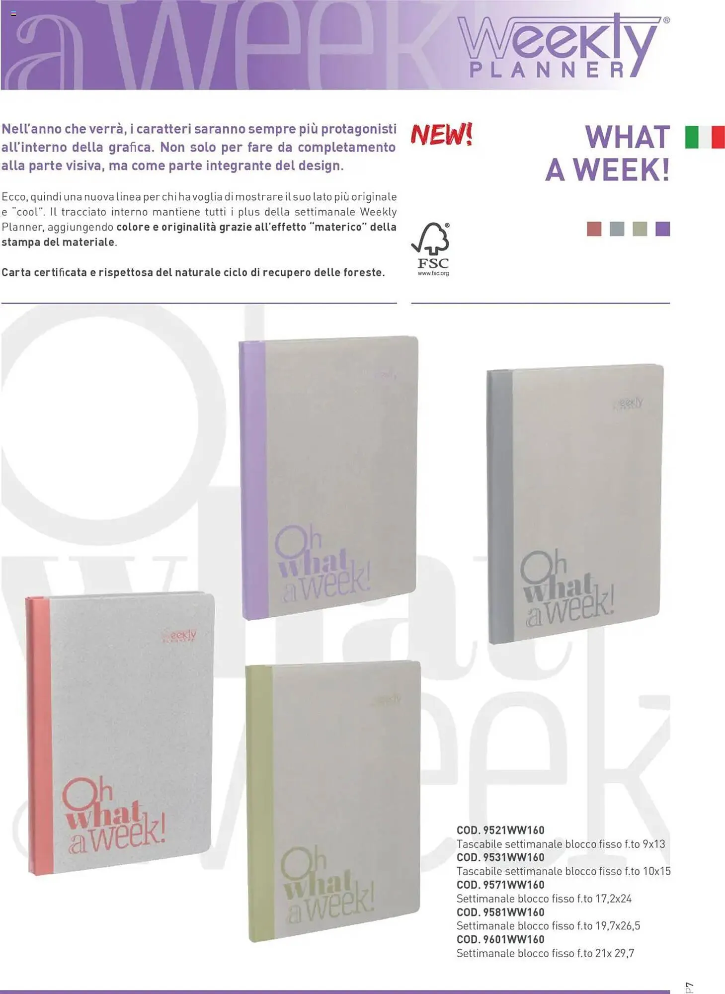 Volantino Buffetti da 6 settembre a 28 febbraio di 2026 - Pagina del volantino 6