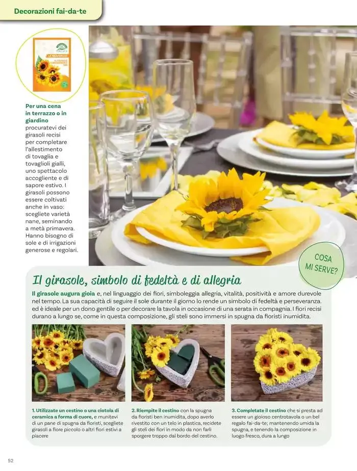 Idee per la vita all' aperto da 18 aprile a 18 maggio di 2025 - Pagina del volantino 52