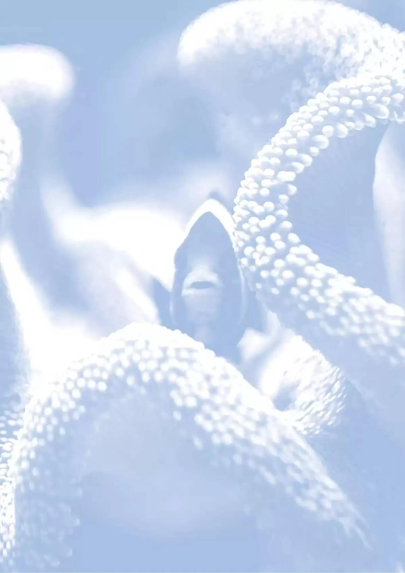 Volantino Ferplast da 13 dicembre a 31 dicembre di 2026 - Pagina del volantino 188