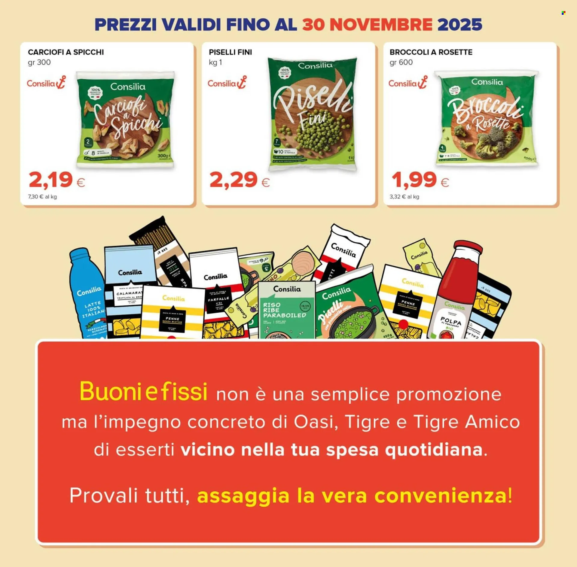 Volantino Tigre da 9 ottobre a 31 dicembre di 2025 - Pagina del volantino 11