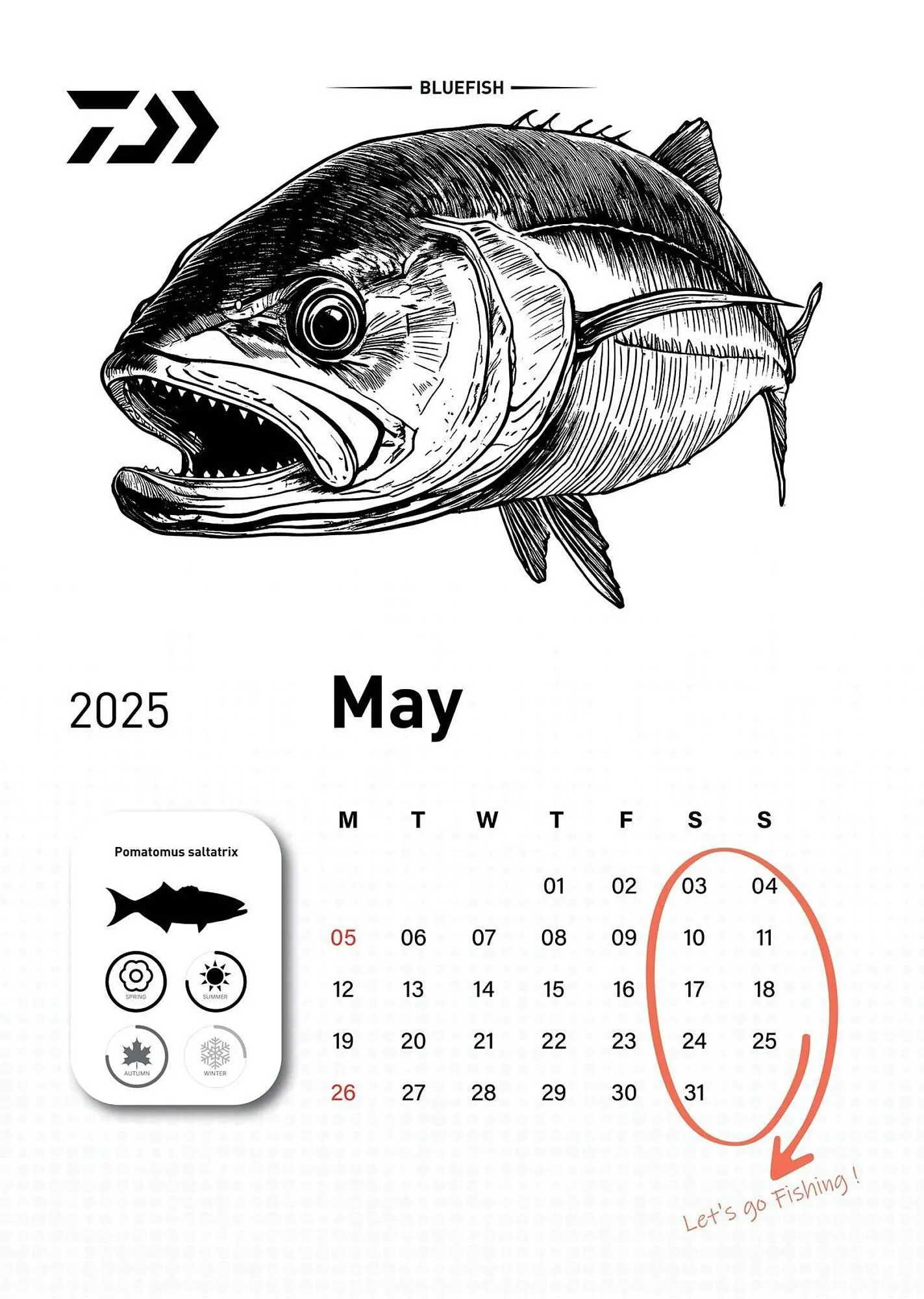 Volantino Daiwa da 6 dicembre a 31 dicembre di 2025 - Pagina del volantino 6