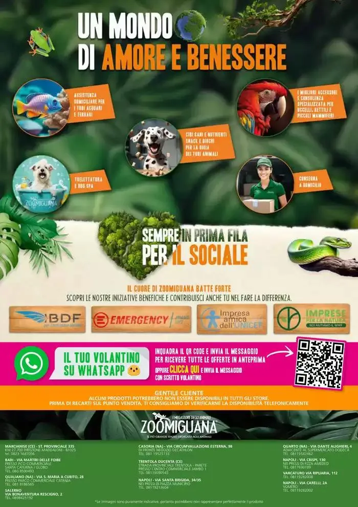 Offerte Valide dal 14 marzo al 6 aprile da 14 marzo a 6 aprile di 2025 - Pagina del volantino 12