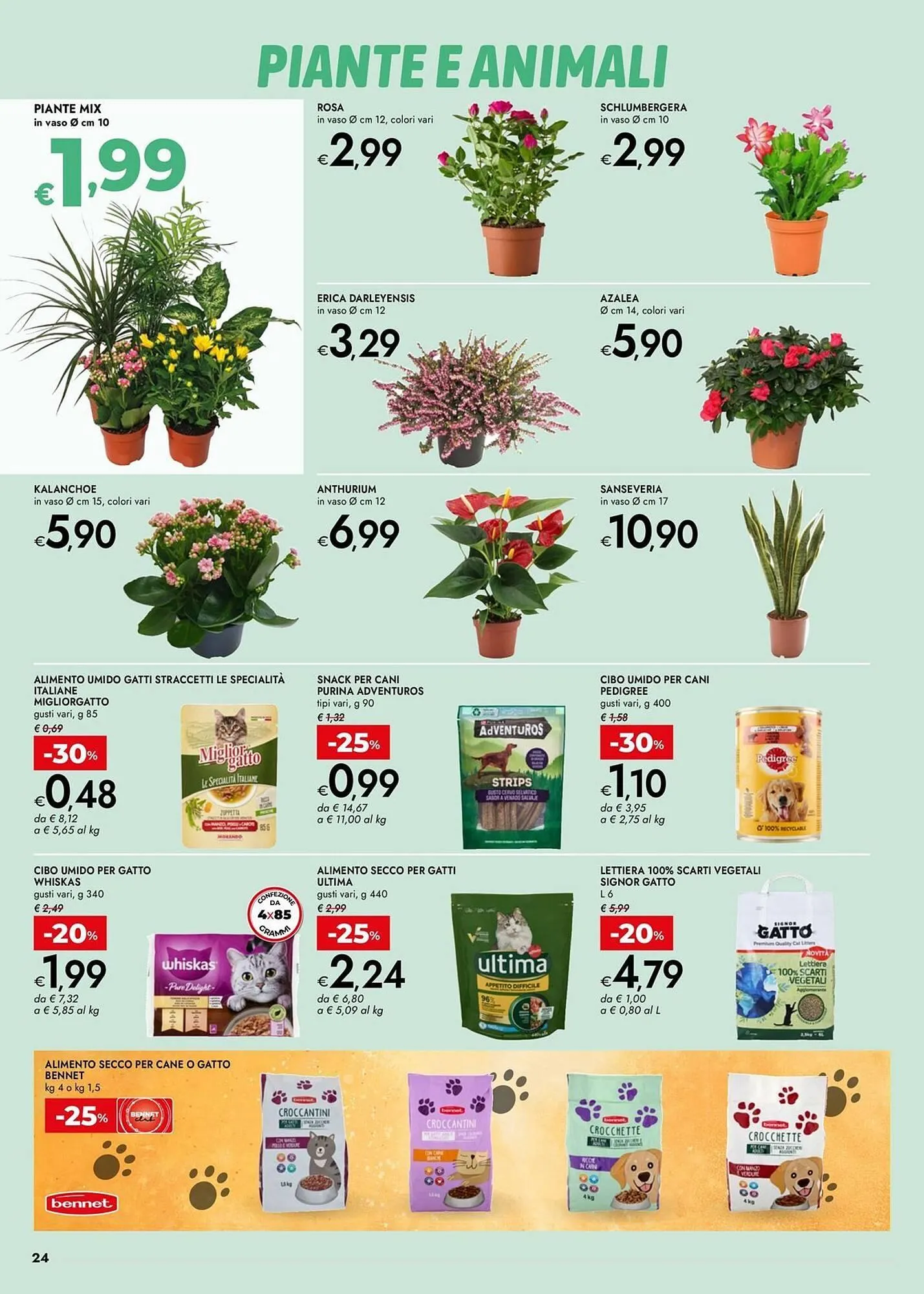 Volantino Bennet da 23 ottobre a 5 novembre di 2025 - Pagina del volantino 24