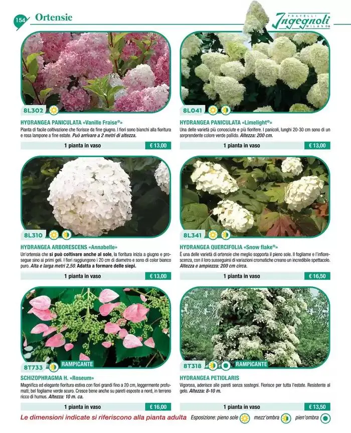 Catalogo guida 2025 da 20 gennaio a 31 dicembre di 2025 - Pagina del volantino 156