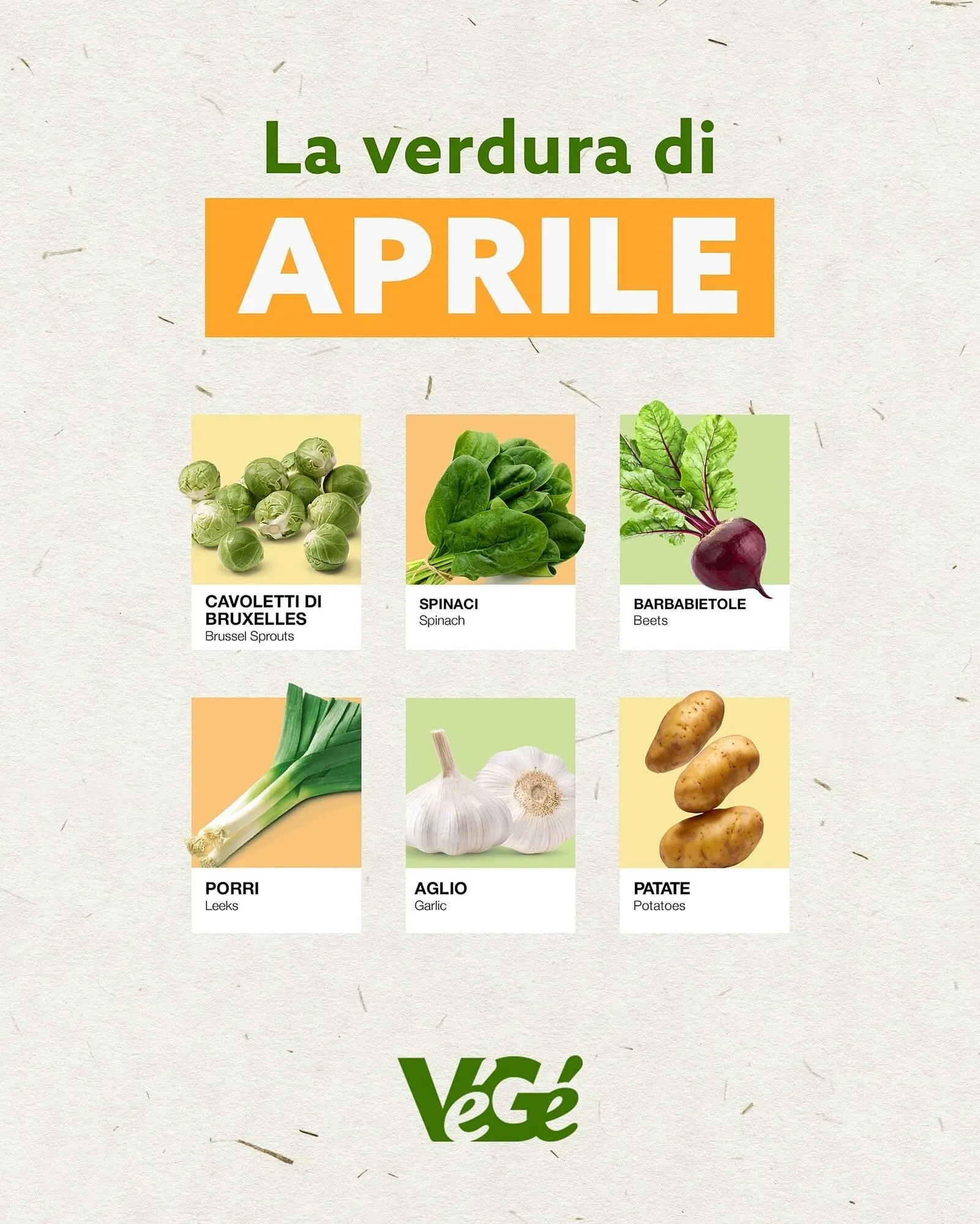 Volantino Gruppo VéGé - 1