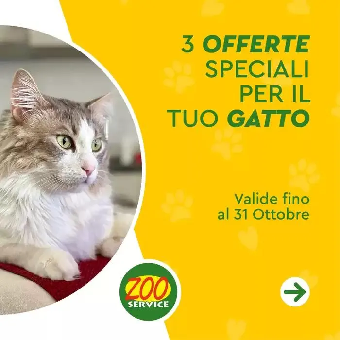3 offerte speciali per il gatto - 1