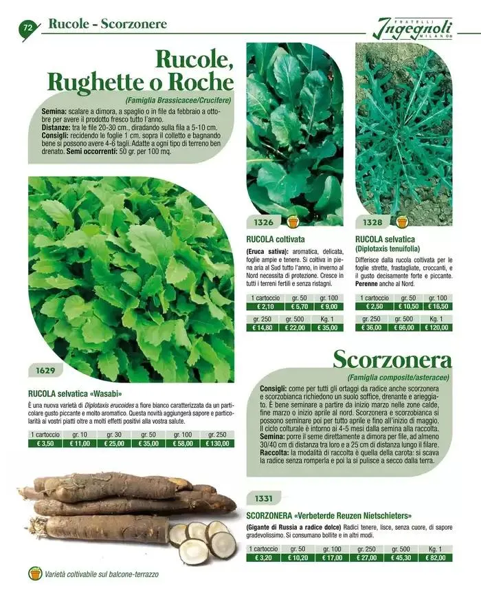 Catalogo guida 2025 da 20 gennaio a 31 dicembre di 2025 - Pagina del volantino 74