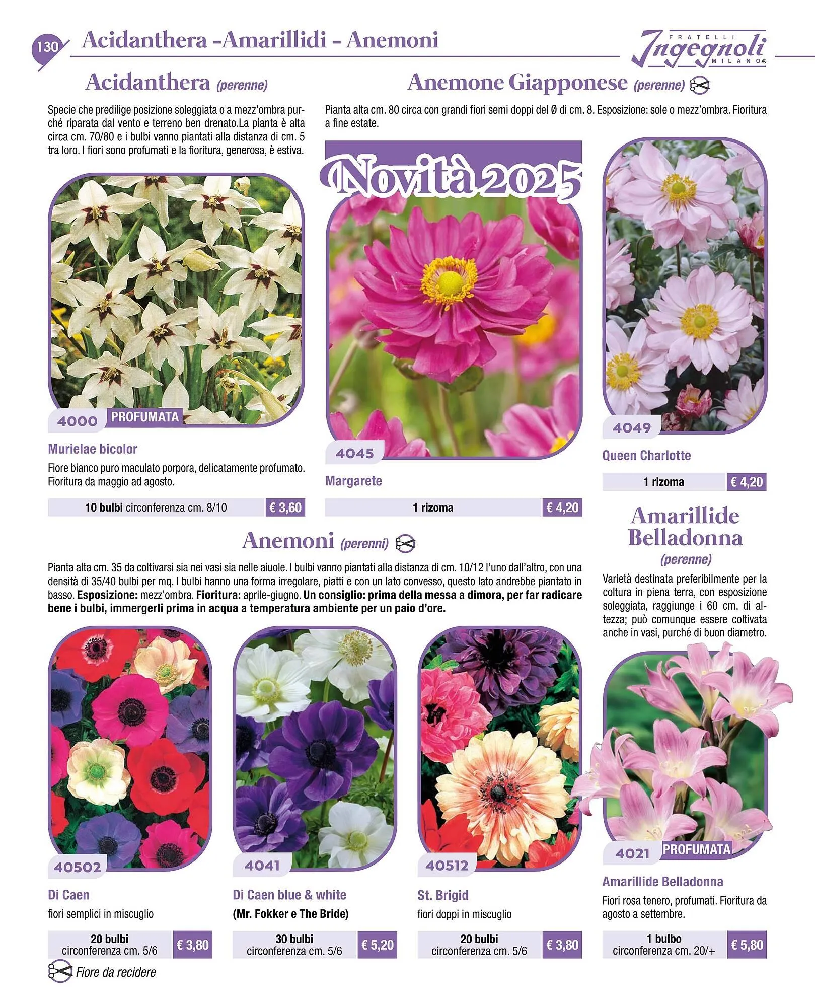 Volantino Ingegnoli da 4 novembre a 31 dicembre di 2025 - Pagina del volantino 132