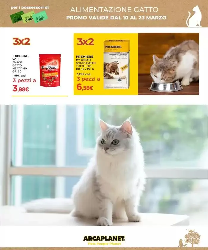 3x2 da 10 marzo a 23 marzo di 2025 - Pagina del volantino 21