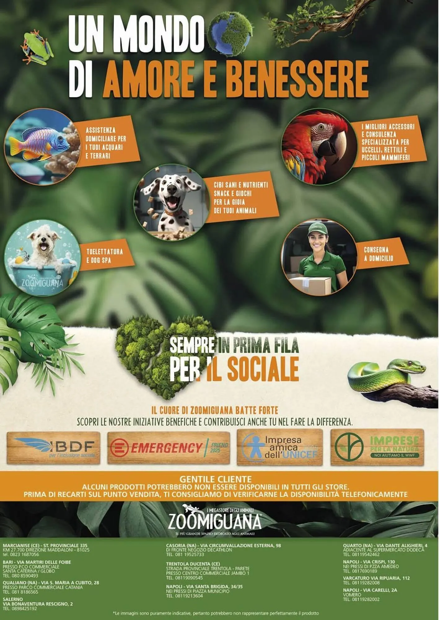 Volantino Zoomiguana da 3 luglio a 3 agosto di 2025 - Pagina del volantino 14