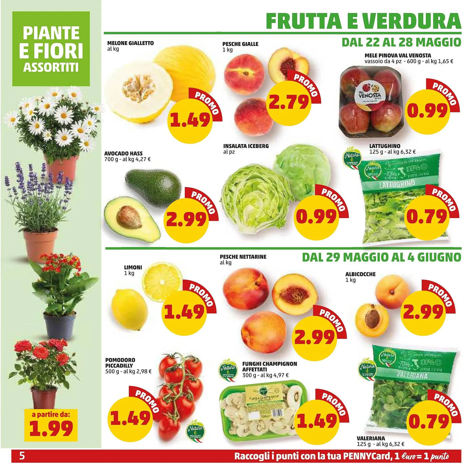 Volantino PENNY da 22 maggio a 1 giugno di 2025 - Pagina del volantino 5