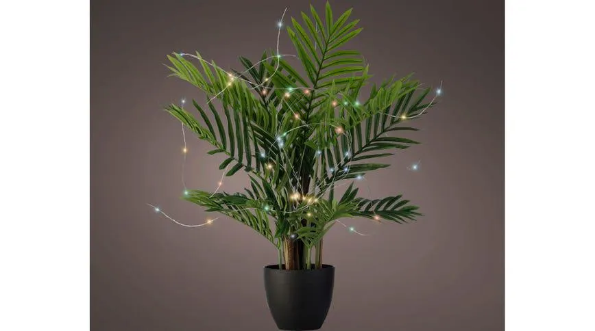 Microled luce multicolore per pianta 60 LED