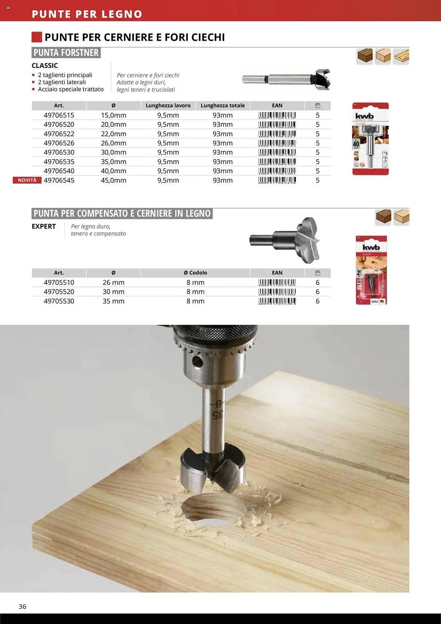Volantino Einhell da 10 ottobre a 31 dicembre di 2025 - Pagina del volantino 38