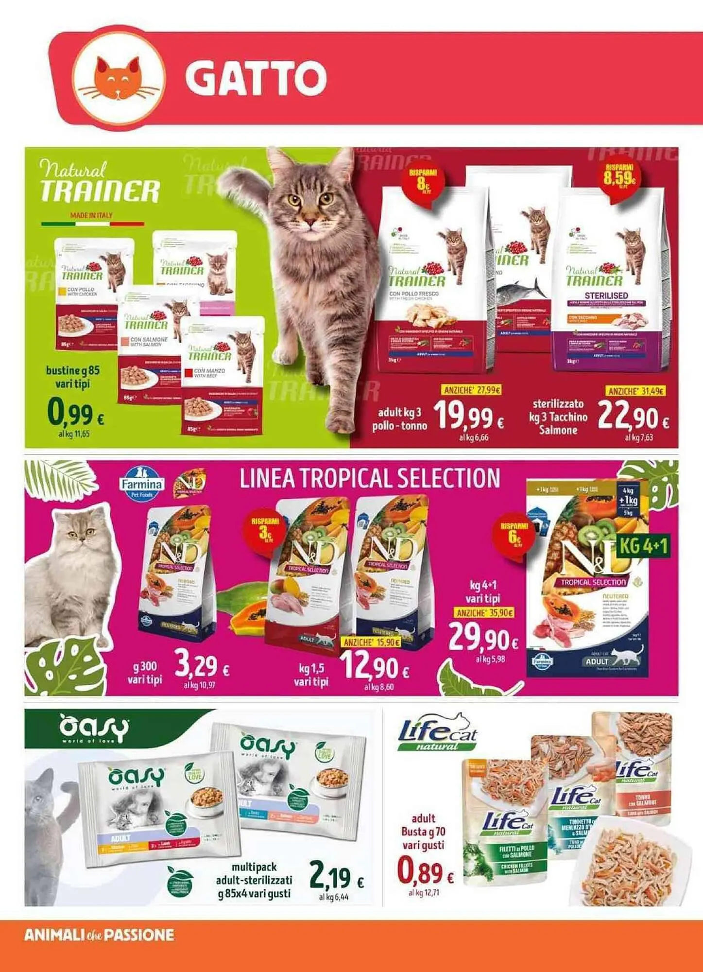 Volantino Elite Pet da 12 febbraio a 28 febbraio di 2024 - Pagina del volantino 6