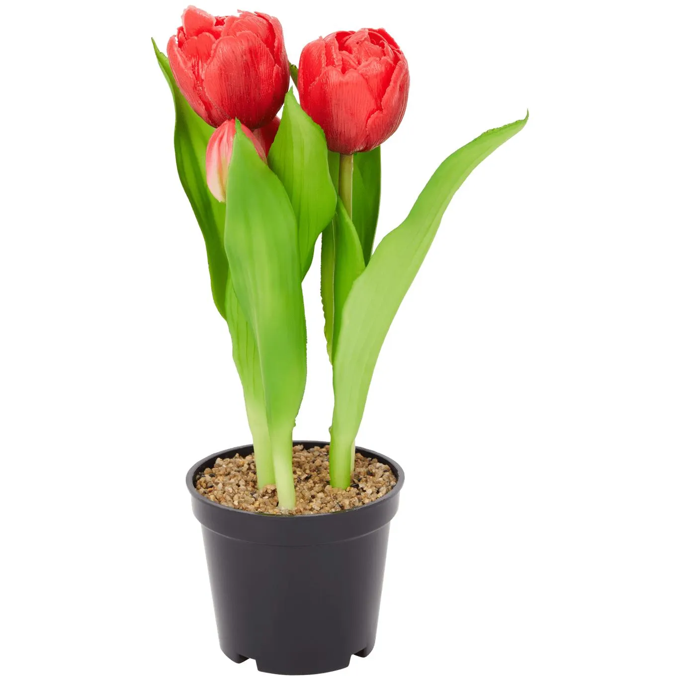 Sztuczne tulipany w doniczce Home Accents