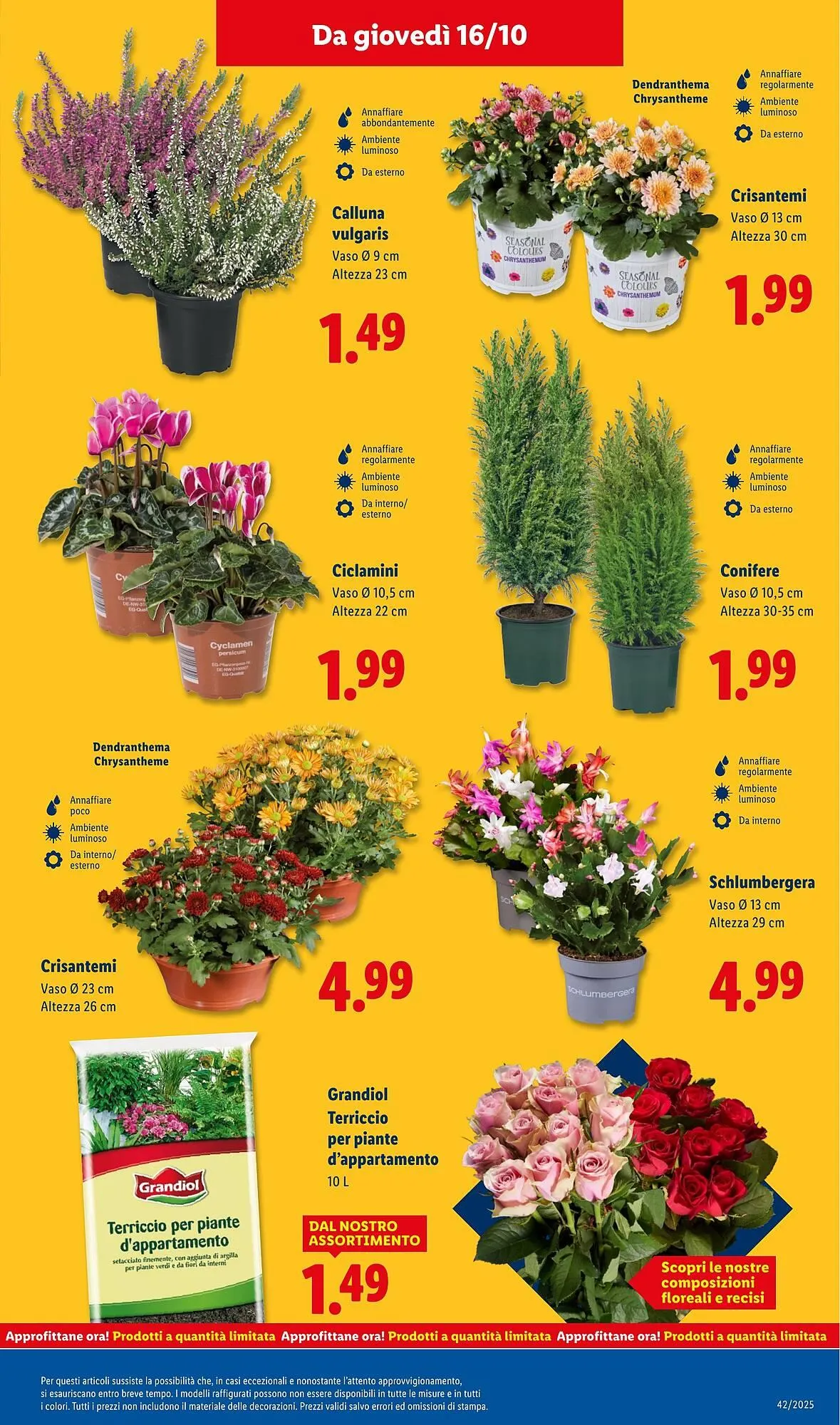 Volantino Lidl da 13 ottobre a 19 ottobre di 2025 - Pagina del volantino 45