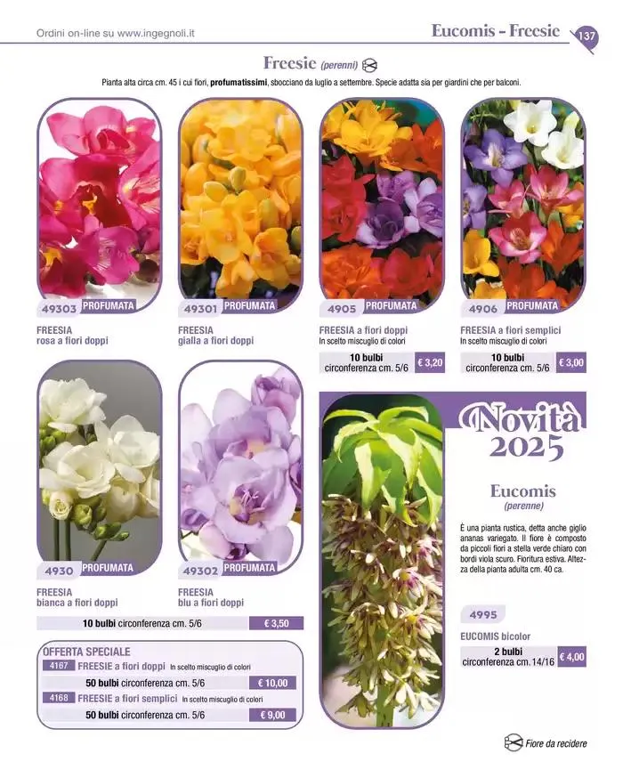 Novita da 4 novembre a 31 dicembre di 2025 - Pagina del volantino 10