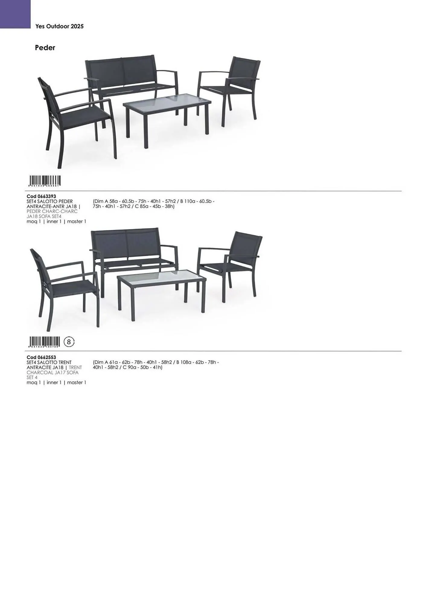 Volantino Bizzotto da 21 gennaio a 31 dicembre di 2025 - Pagina del volantino 45