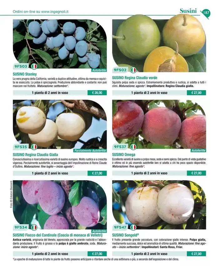 Catalogo guida 2025 da 20 gennaio a 31 dicembre di 2025 - Pagina del volantino 189