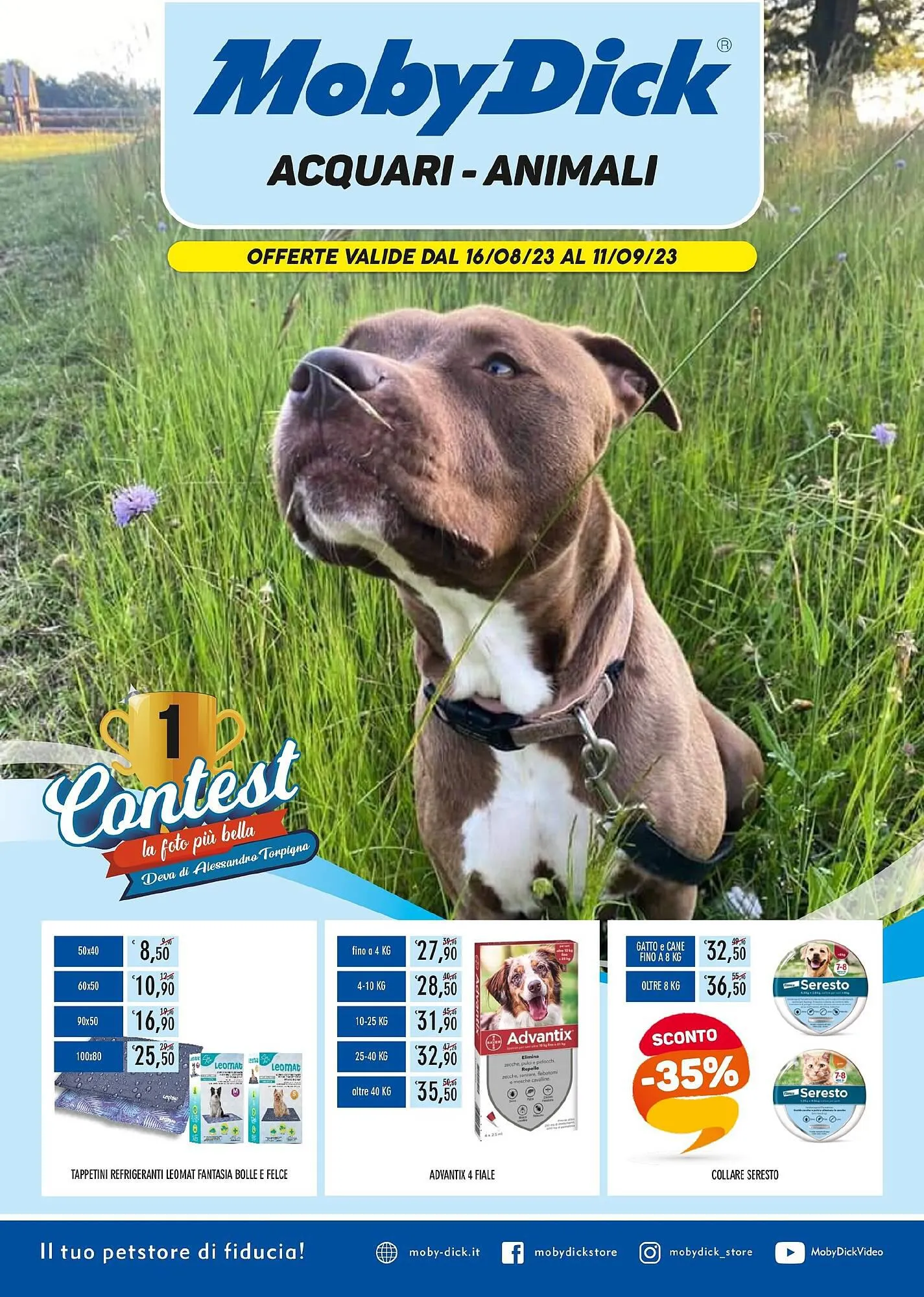 Volantino Moby Dick - 1