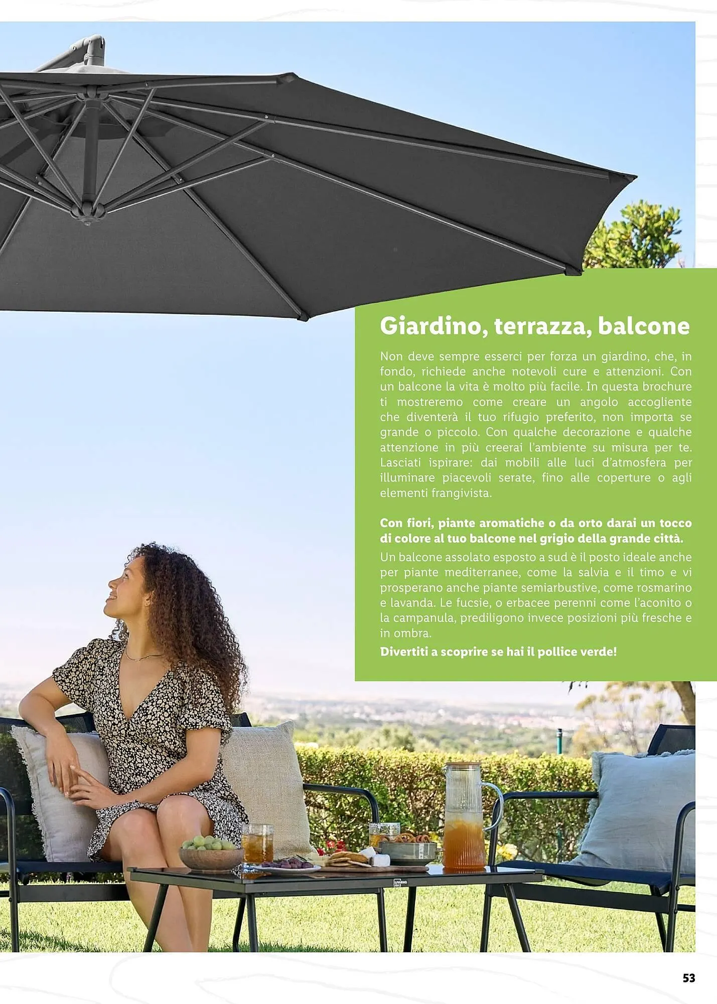 Volantino Lidl da 4 aprile a 31 maggio di 2025 - Pagina del volantino 53