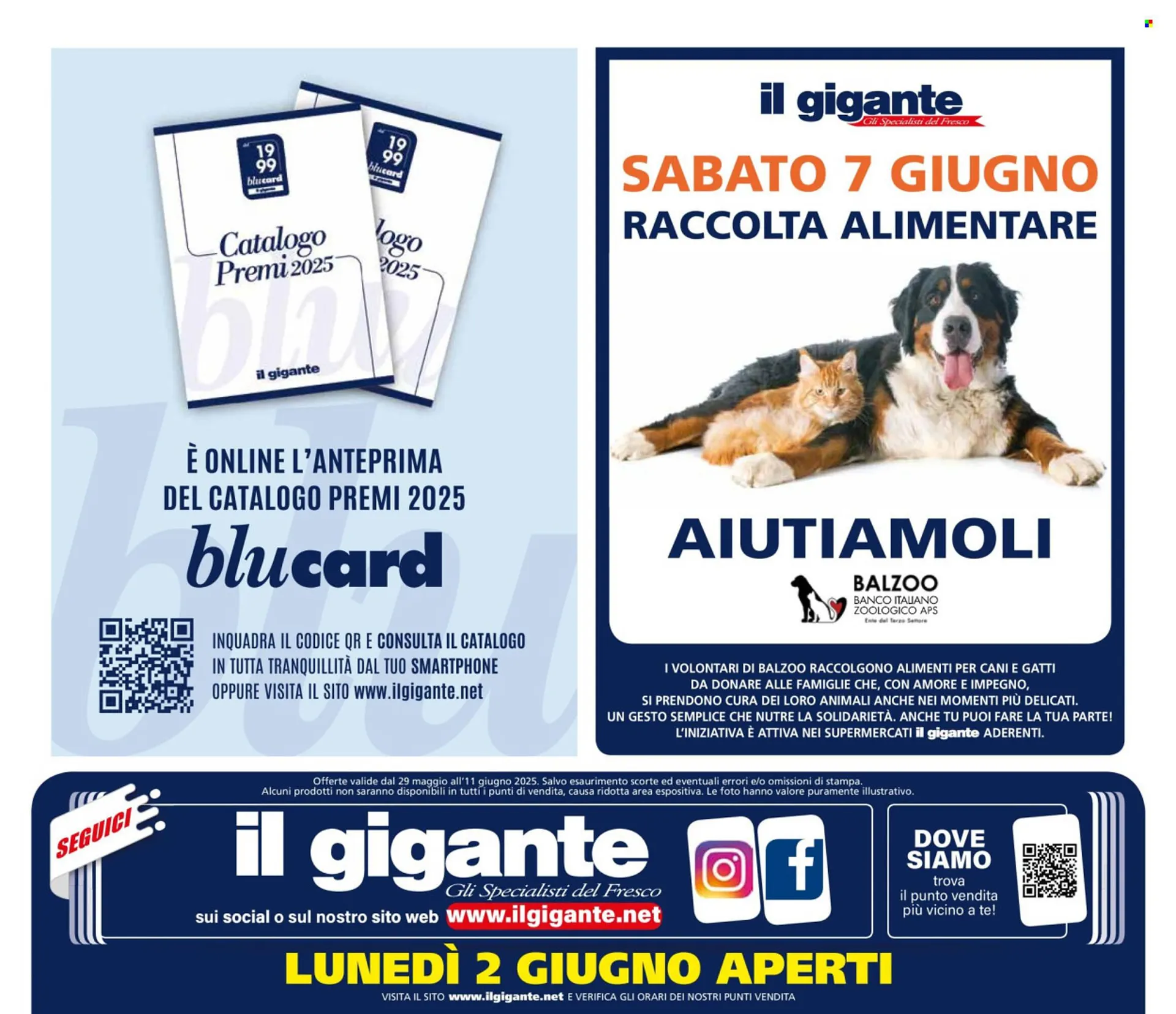 Volantino Il Gigante da 29 maggio a 11 giugno di 2025 - Pagina del volantino 34