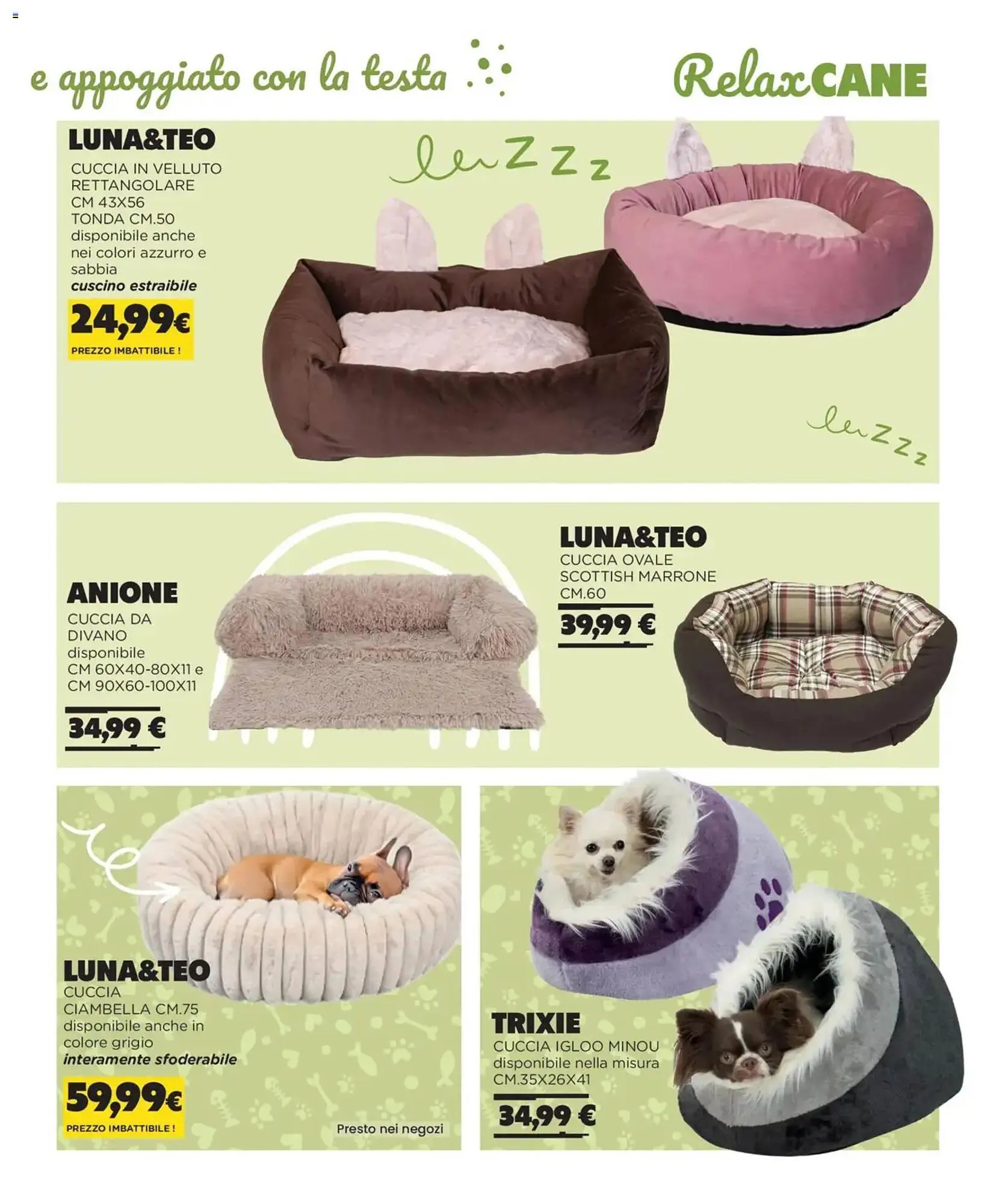 Volantino Arcaplanet da 1 novembre a 28 febbraio di 2026 - Pagina del volantino 5