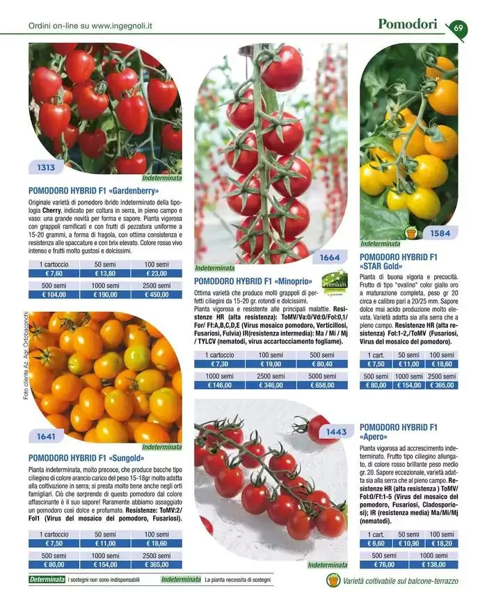 Catalogo guida 2025 da 20 gennaio a 31 dicembre di 2025 - Pagina del volantino 71