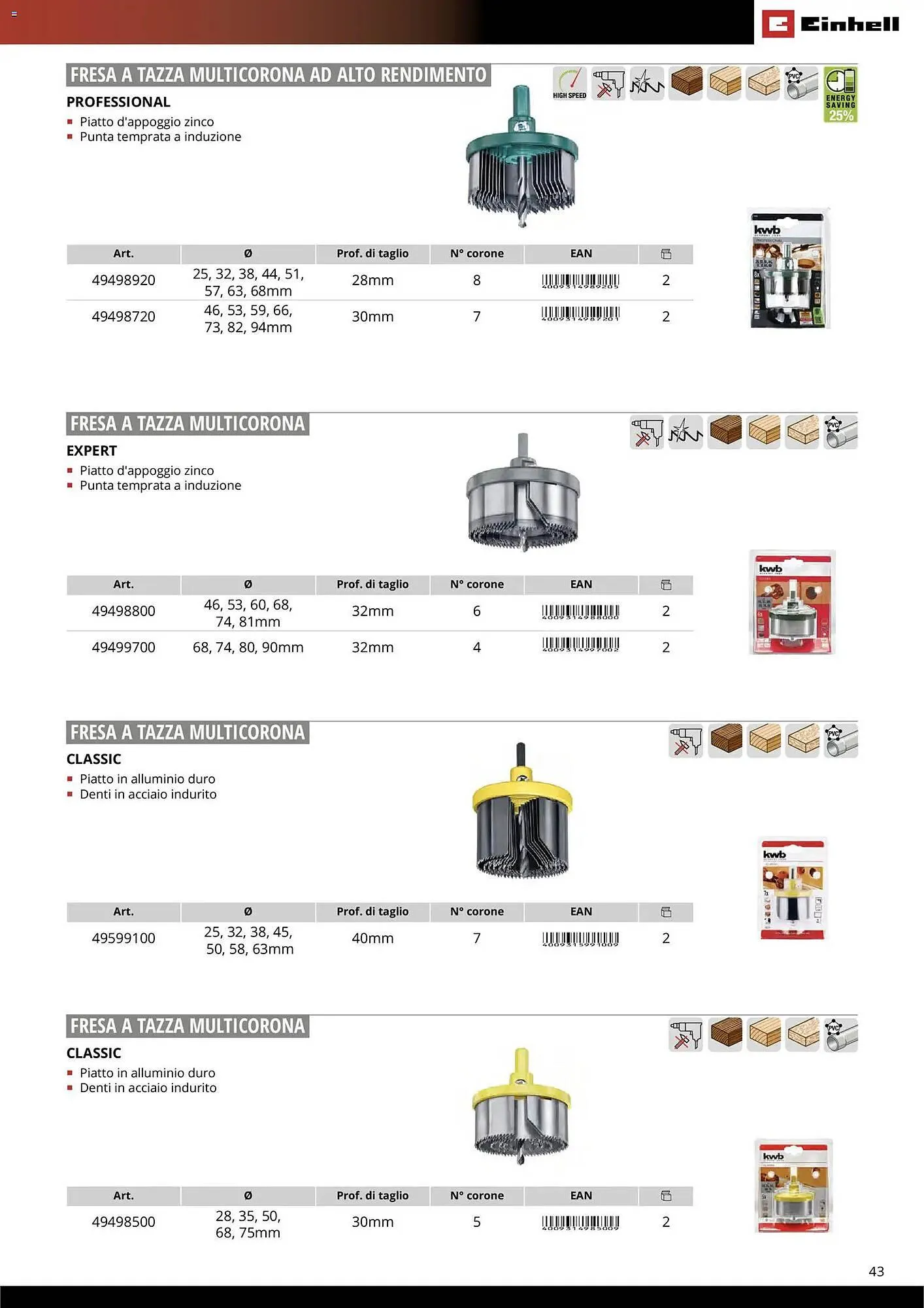 Volantino Einhell da 17 marzo a 31 dicembre di 2026 - Pagina del volantino 45