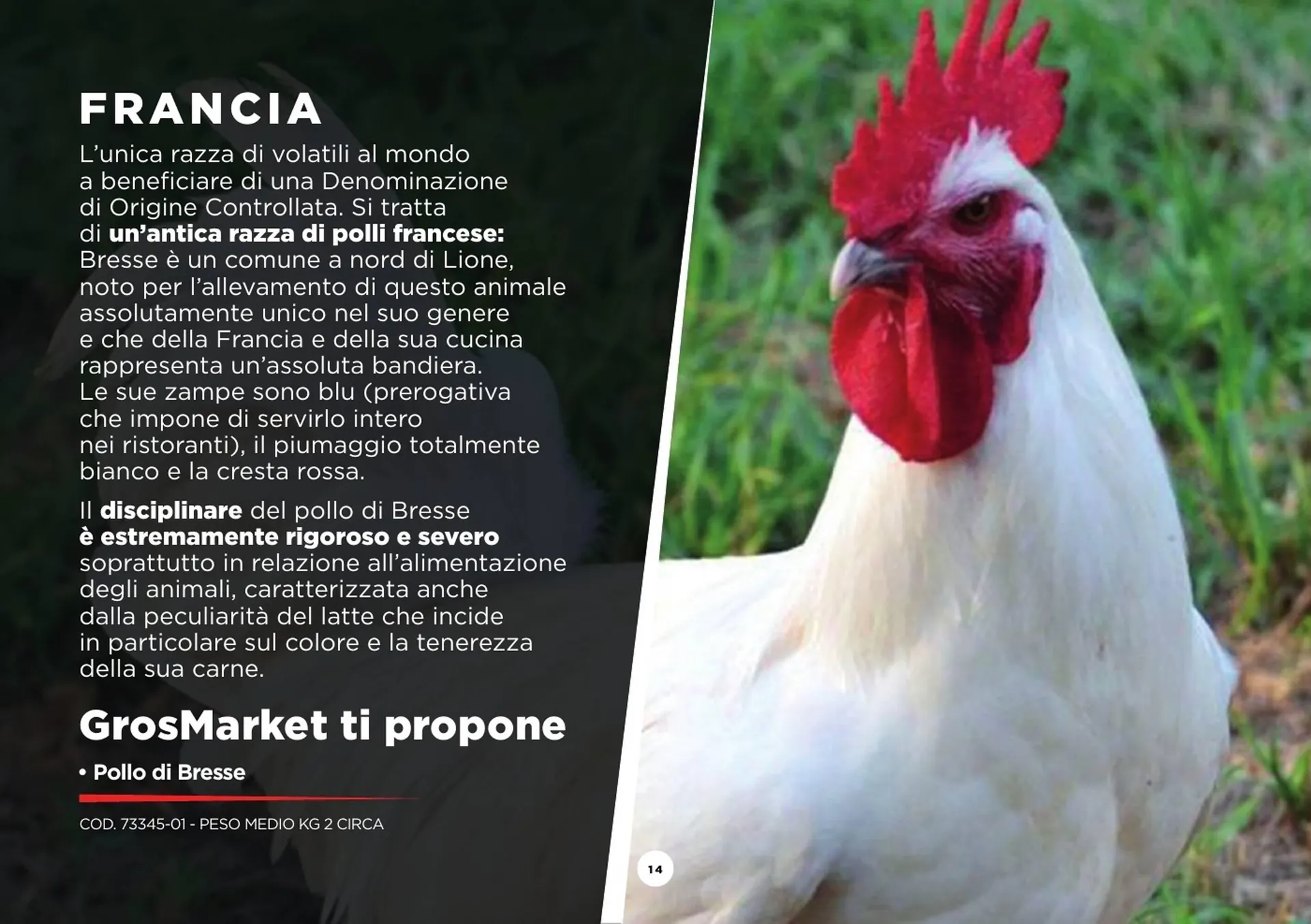 Volantino GrosMarket da 28 agosto a 30 marzo di 2025 - Pagina del volantino 14