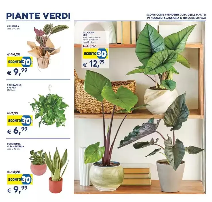 Festa dei fiori da 23 aprile a 6 maggio di 2025 - Pagina del volantino 9