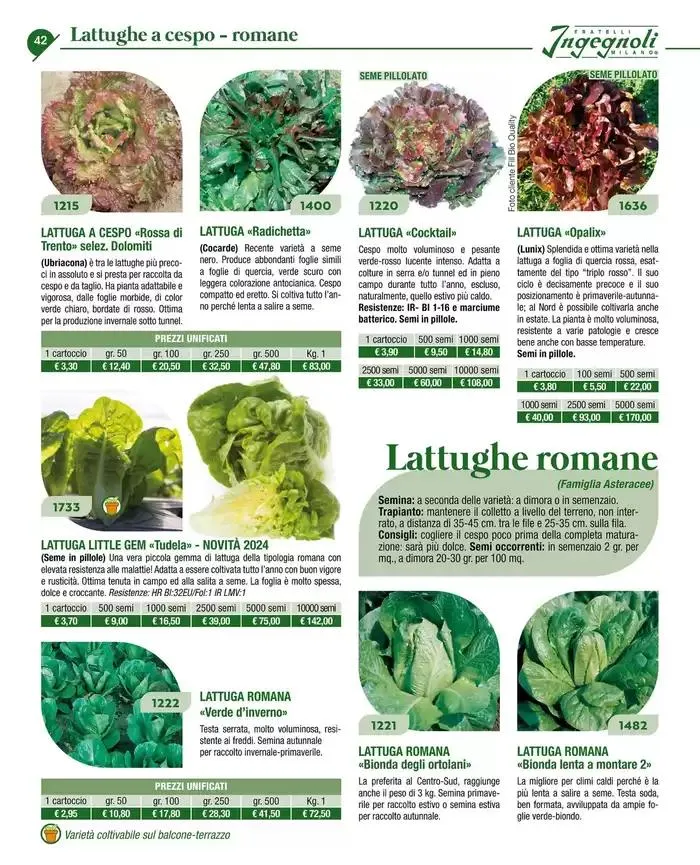 Catalogo guida 2025 da 20 gennaio a 31 dicembre di 2025 - Pagina del volantino 44