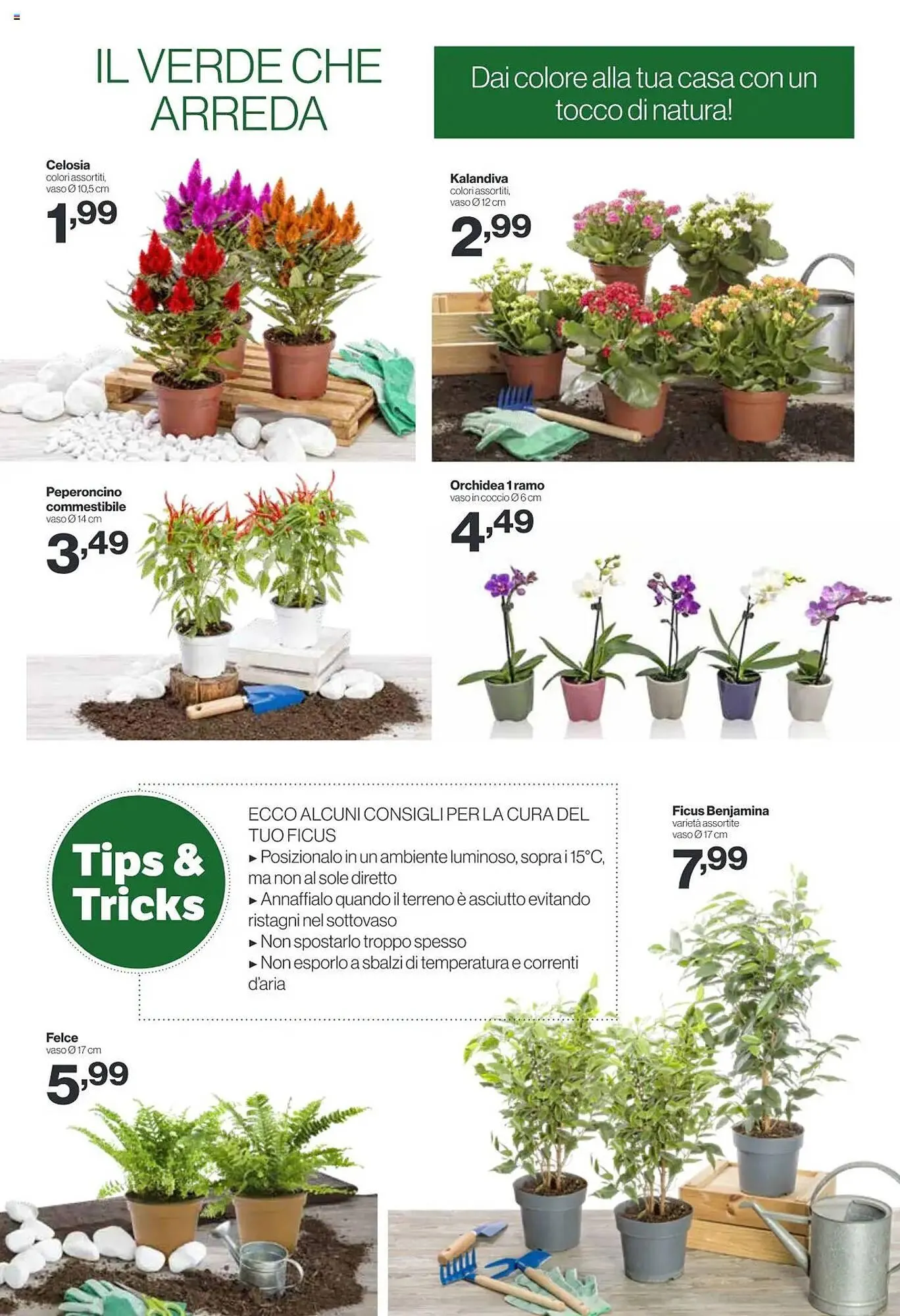 Volantino In'S Mercato da 2 luglio a 13 luglio di 2025 - Pagina del volantino 16