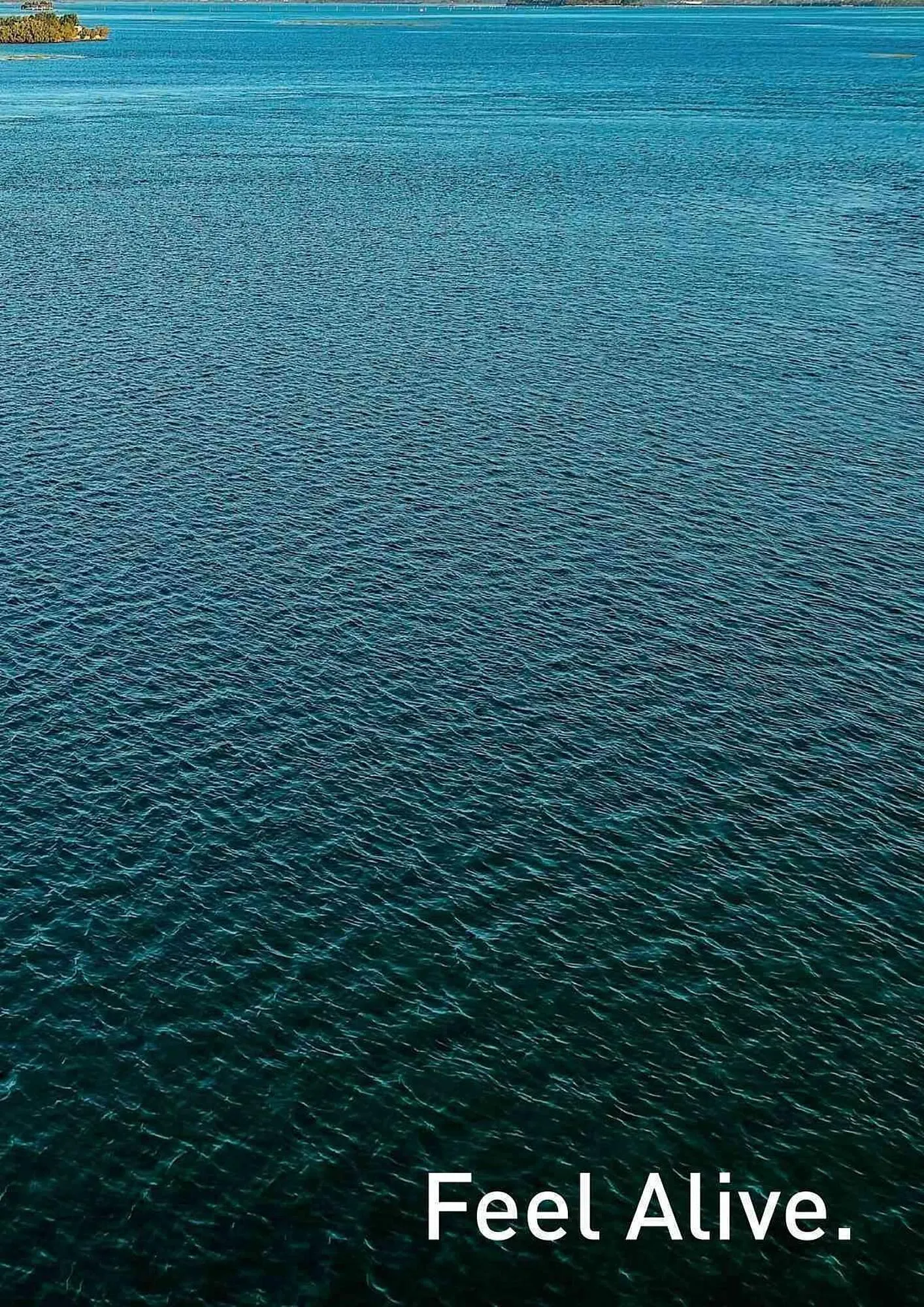 Volantino Daiwa da 4 febbraio a 31 dicembre di 2025 - Pagina del volantino 75